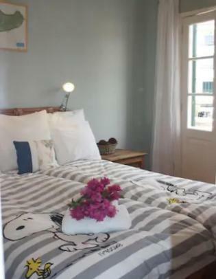 Old Town Penthouse - Barreirinha Apartman Funchal  Kültér fotó